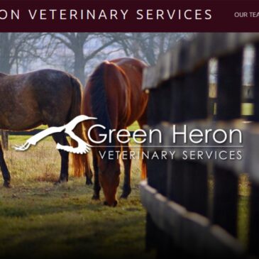 Green Heron Veterinary Services